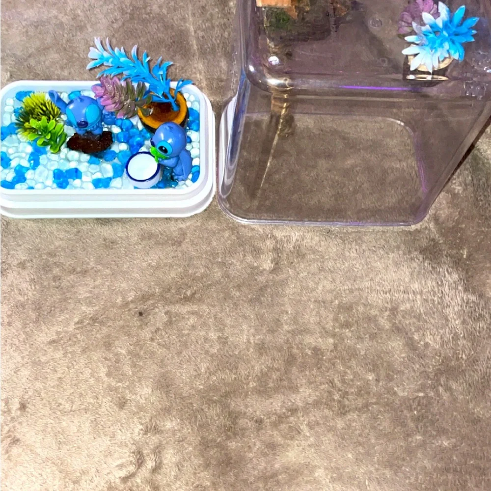 Custom jumping spiders enclosure